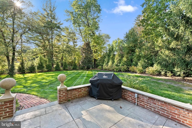 view of patio / terrace with area for grilling