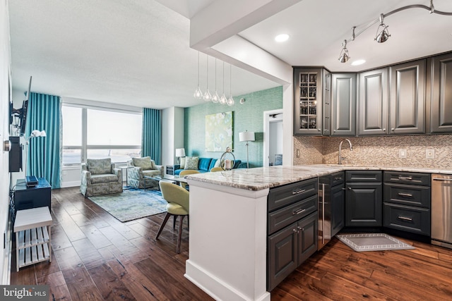 kitchen featuring sink, dark hardwood / wood-style flooring, and backsplash