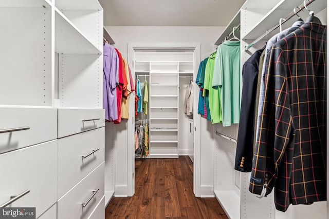 spacious closet featuring dark wood-type flooring