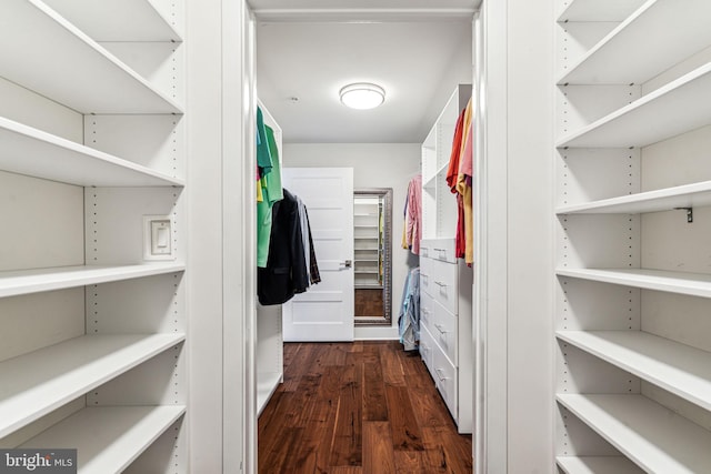 spacious closet featuring dark wood-type flooring