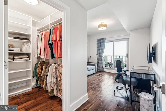 office space featuring dark hardwood / wood-style flooring