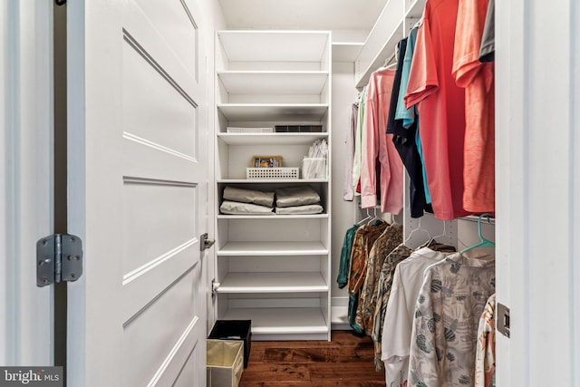 walk in closet with dark wood-type flooring