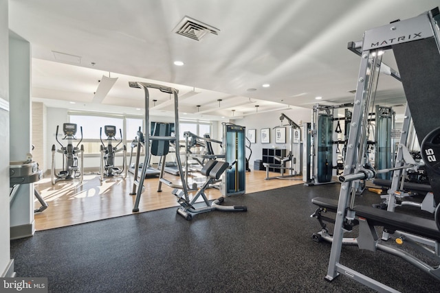 workout area featuring wood-type flooring