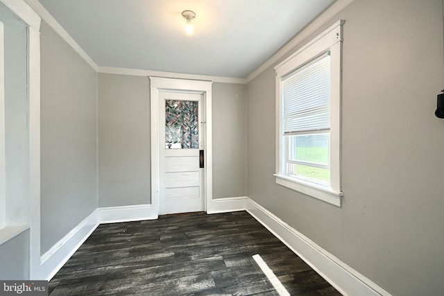 unfurnished room with dark wood-type flooring and crown molding