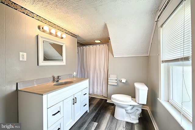 bathroom featuring vanity, hardwood / wood-style flooring, a textured ceiling, and plenty of natural light