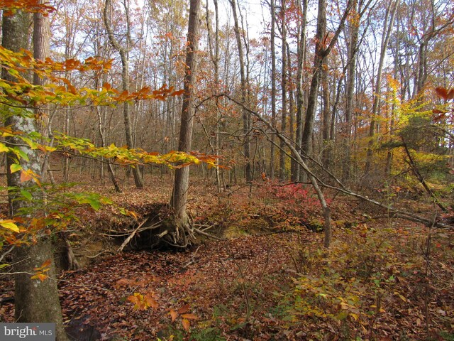 view of nature