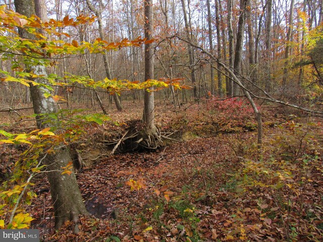 view of nature