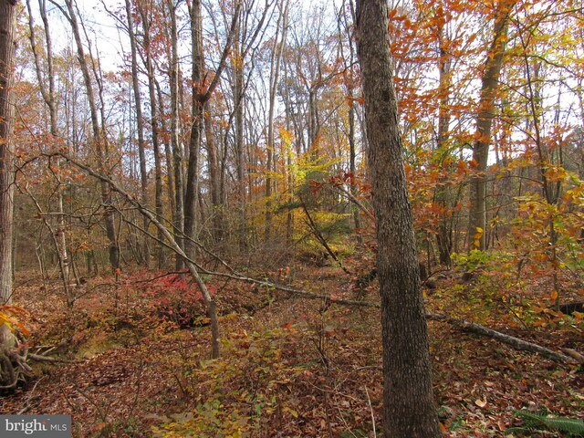 view of landscape