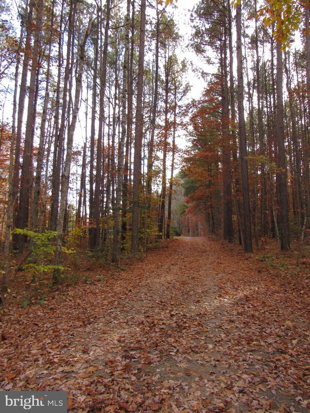 view of road