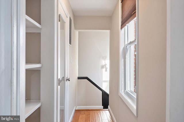 hallway featuring hardwood / wood-style floors