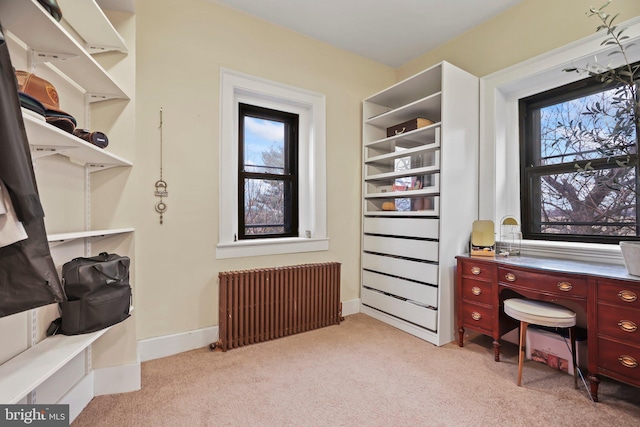 carpeted office featuring radiator