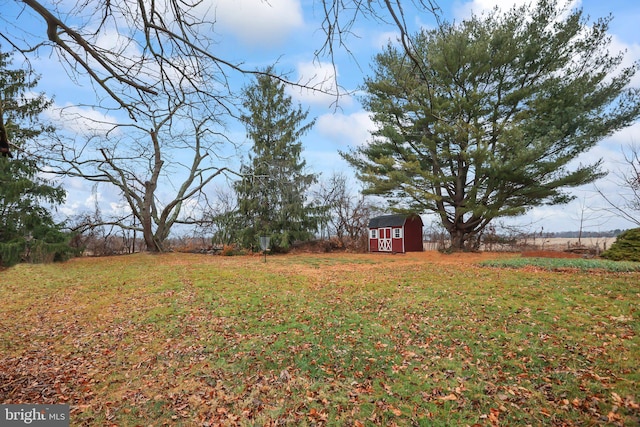 view of yard featuring a rural view and a shed