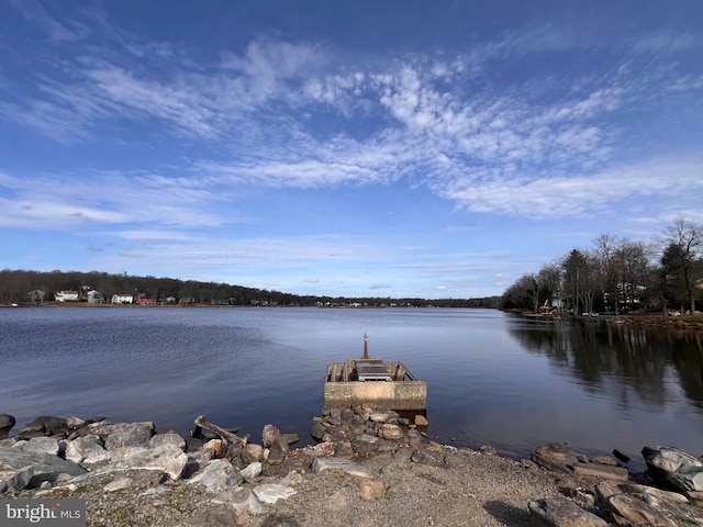 dock area featuring a water view