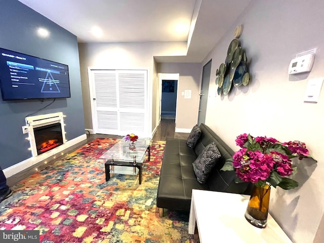 living room featuring wood-type flooring