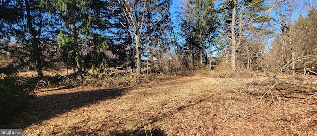 view of local wilderness