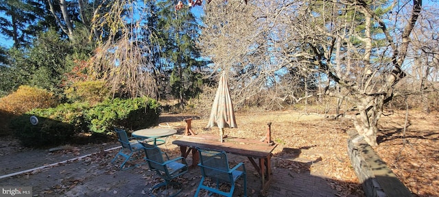 view of yard featuring a patio area