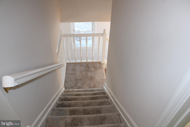 staircase with carpet