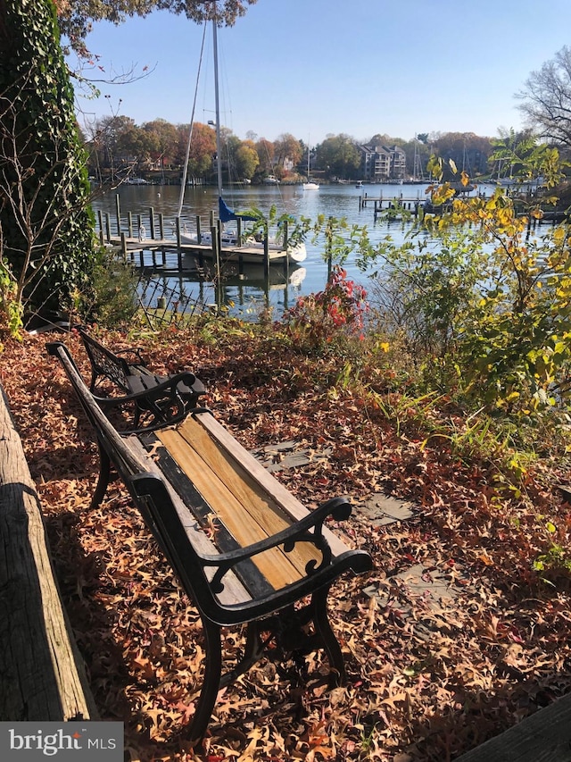 dock area with a water view