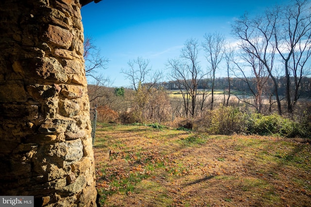 view of yard featuring a rural view