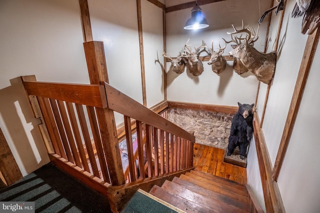 staircase with hardwood / wood-style floors