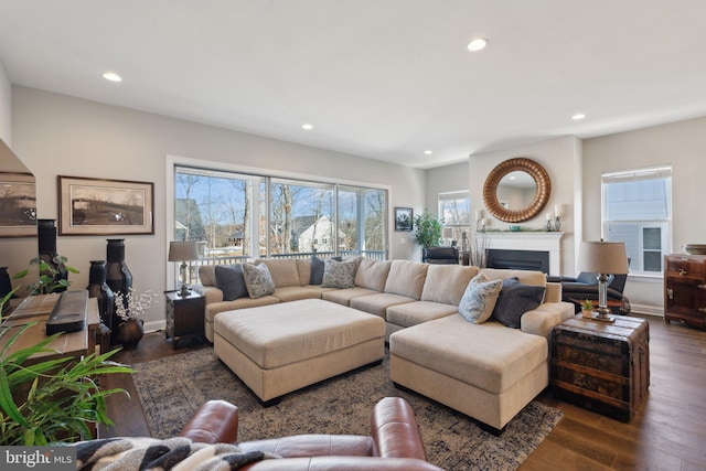 living room with dark hardwood / wood-style floors