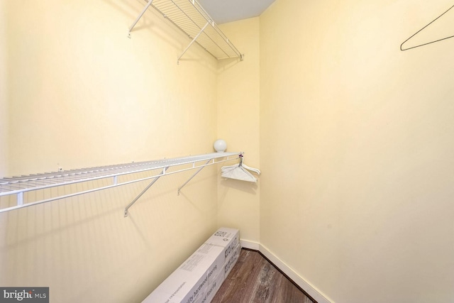 walk in closet featuring hardwood / wood-style floors