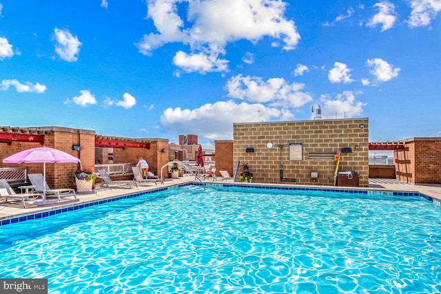 view of pool featuring a patio