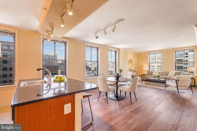 kitchen featuring hardwood / wood-style floors, sink, a kitchen island with sink, rail lighting, and a breakfast bar