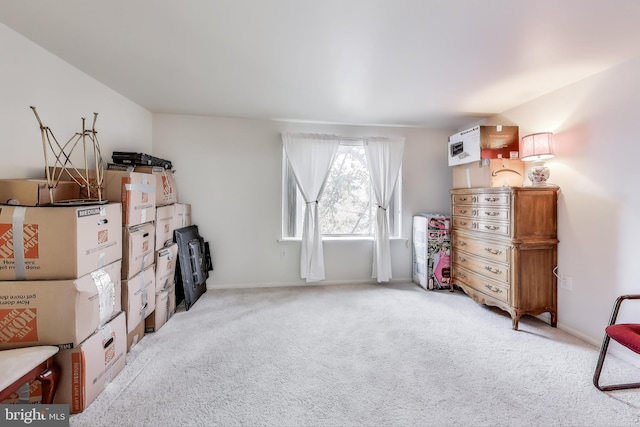 interior space featuring light carpet