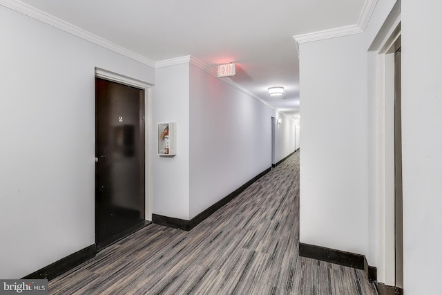 hall with dark wood-type flooring and crown molding