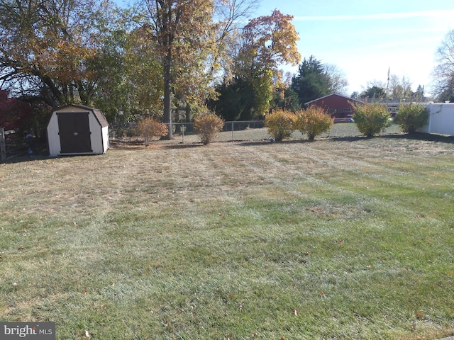 view of yard featuring a storage shed