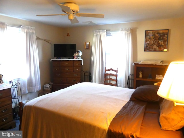 bedroom featuring ceiling fan