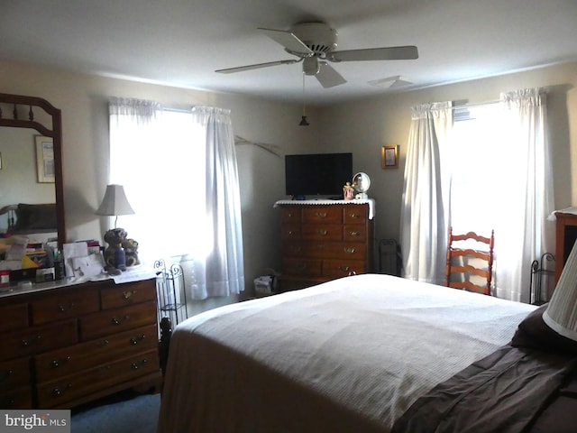 bedroom with ceiling fan