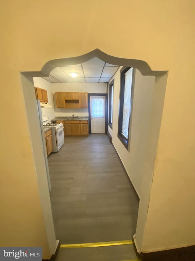 kitchen with ventilation hood, a drop ceiling, and white gas range