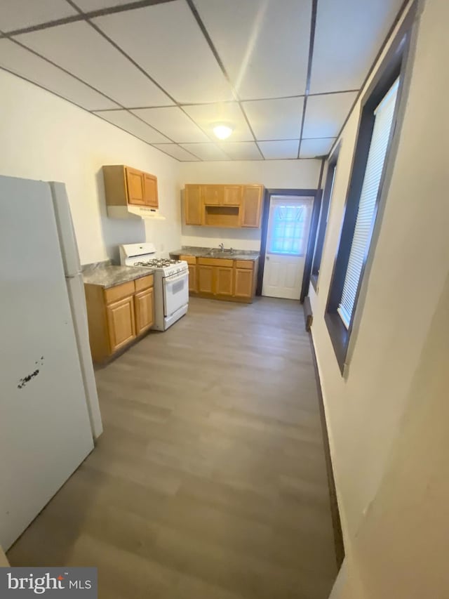 kitchen with light wood-type flooring, a paneled ceiling, sink, and white appliances