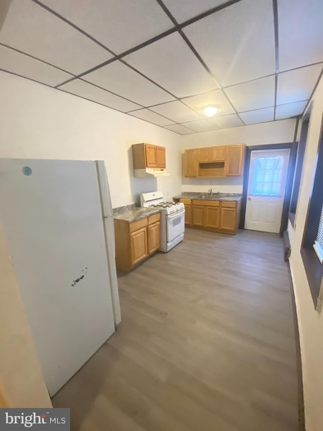 kitchen featuring a drop ceiling, light hardwood / wood-style flooring, sink, and white appliances