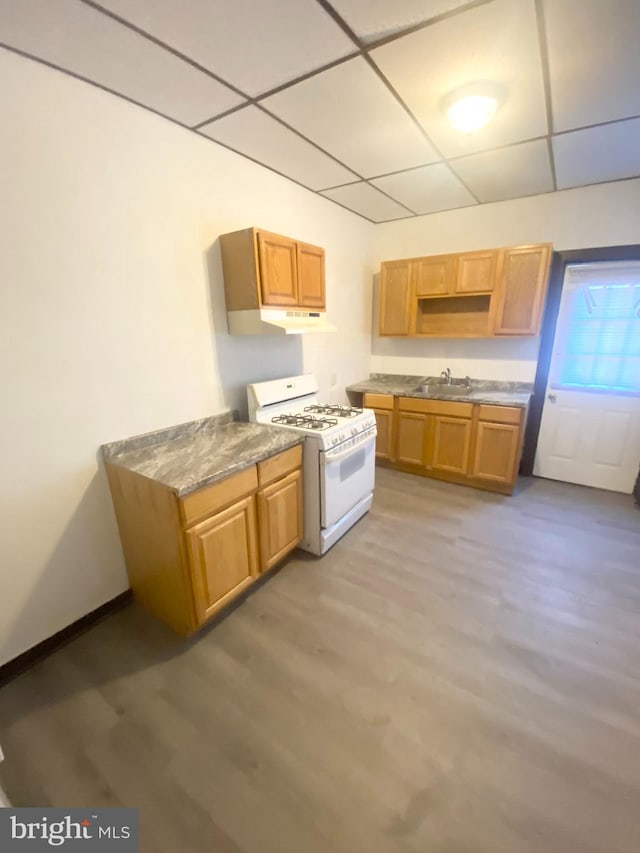 kitchen with sink, a drop ceiling, hardwood / wood-style floors, and white gas range oven