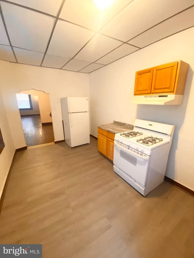 kitchen with a drop ceiling, light hardwood / wood-style flooring, and white appliances