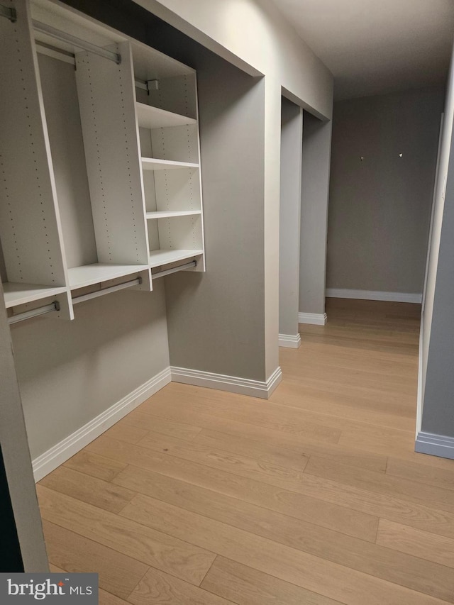 spacious closet featuring light wood-type flooring