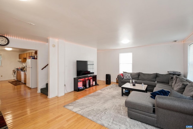 living room with light hardwood / wood-style flooring