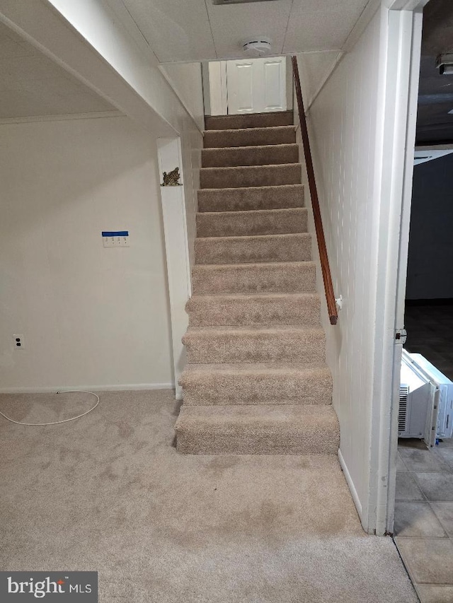 stairs with carpet floors