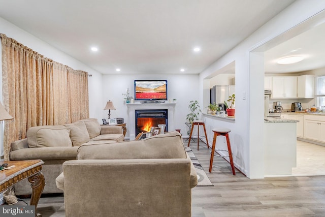 living room with light wood-type flooring