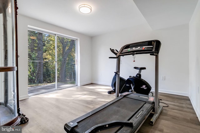 exercise area featuring hardwood / wood-style flooring