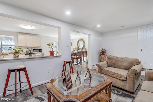 living room featuring light hardwood / wood-style flooring