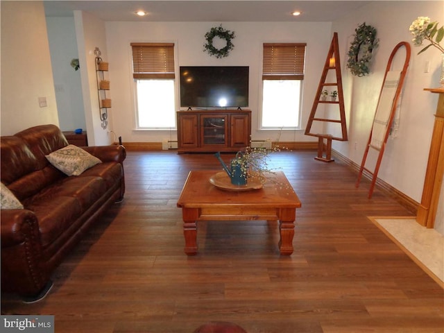 living room with a wealth of natural light and dark hardwood / wood-style flooring