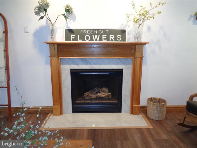 details featuring hardwood / wood-style floors and a high end fireplace