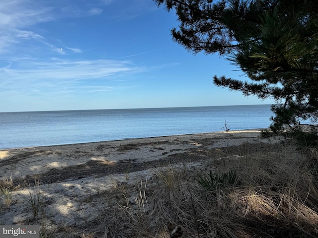 property view of water featuring a view of the beach