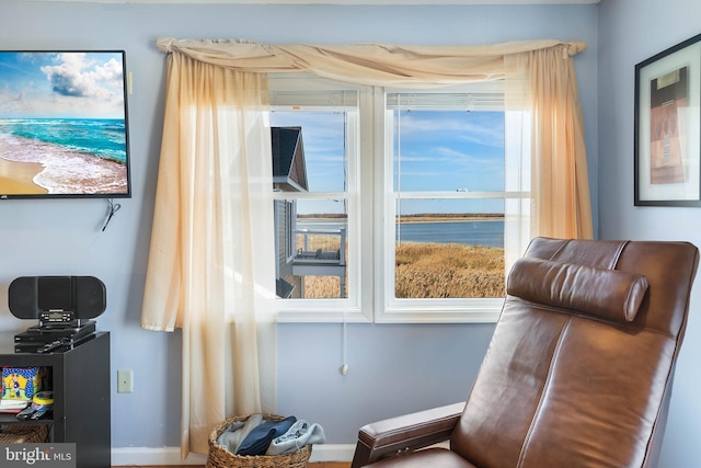 living area featuring a wealth of natural light and a water view