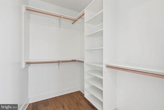 spacious closet with dark hardwood / wood-style flooring