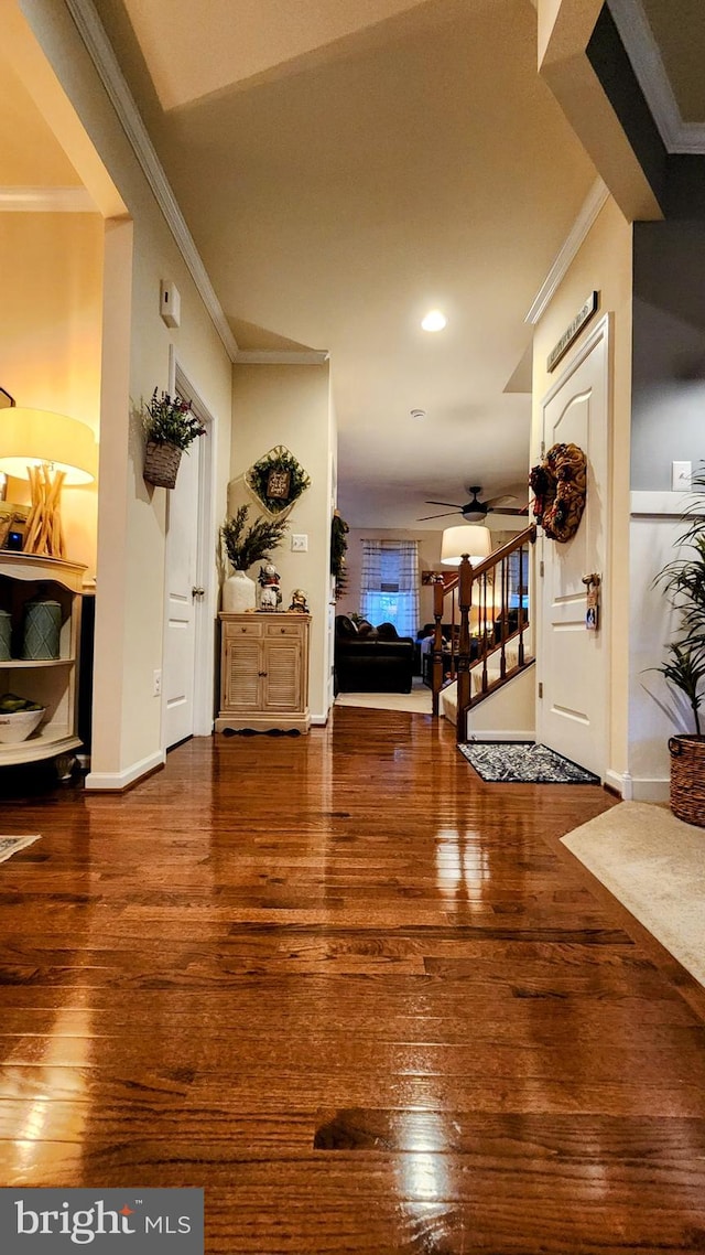 hallway featuring ornamental molding and hardwood / wood-style floors